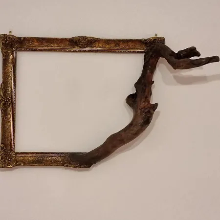 Angelica ペリヴォラス